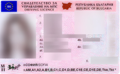 Водительское удостоверение<br> (при необходимости) 